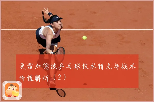莫雷加德技乒乓球技术特点与战术价值解析（2）